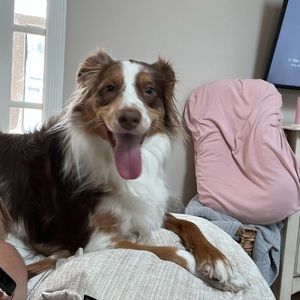 Meet your Posher, Meagan